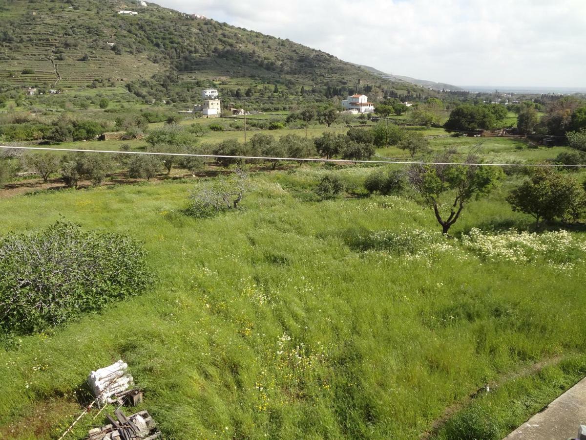 House In The Grass Land. Villa Ormos  Ngoại thất bức ảnh